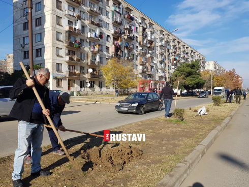 გამწვანების აქცია