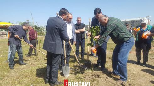 გამწვანების აქცია რუსთავში [PHOTO]