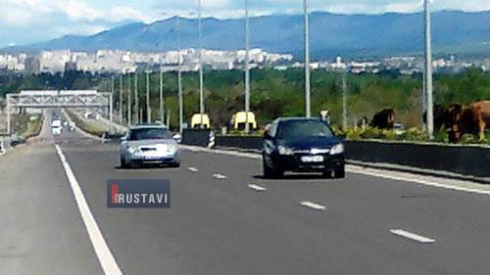 რუსთავი-თბილისის დამაკავშირებელი ავტობანის მშენებლობა შეჩერდა