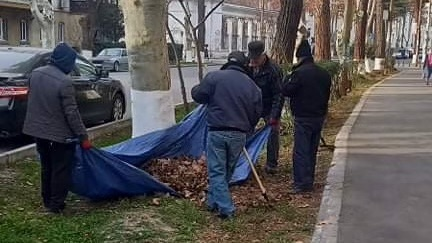 საშემოდგომო სამუშაოები რუსთავში