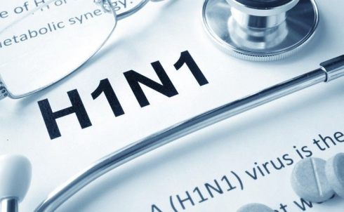 H1N1-ის ვირუსით 2 ადამიანი გარდაიცვალა