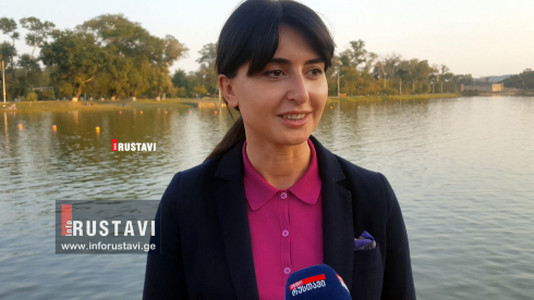 ნინო ლაცაბიძემ ამომრჩეველს მიმართა