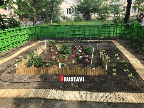 "კონტაქტური ბოსტანი" [photo]