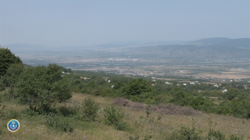 პირმა მოტყუებით 6 მიწის ნაკვეთი დაირეგისტრირა [video]