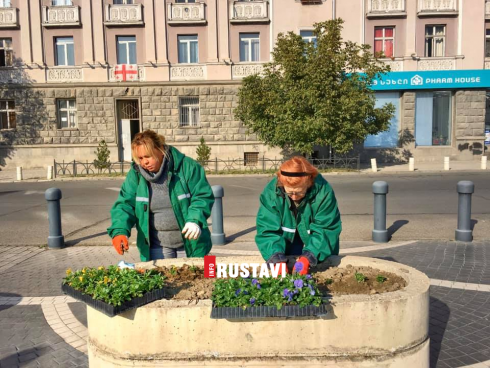 რუსთავში სეზონური ყვავილები ირგვება