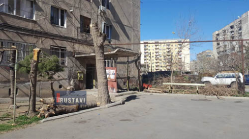 45 წლის თუთის ხე მოქალაქემ თვითნებურად მოჭრა.