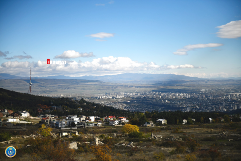 დიდი ოდენობით სხვისი ქონების მოტყუებით დაუფლების მცდელობის ფაქტი