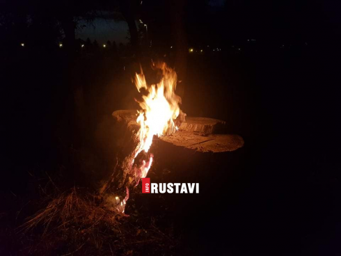 ხანძარი რუსთავის ცენტრალურ პარკში