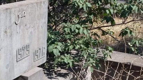 რუსთავში სასაფლაოები გაძარცვეს [photo]