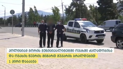 ოჯახში ძალადობის ფაქტი [video]